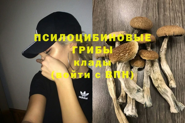 mix Белокуриха