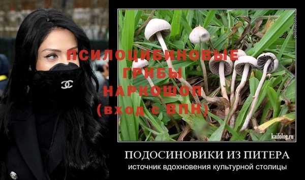 мяу мяу мука Богданович