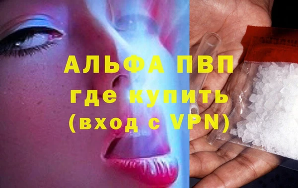 мяу мяу мука Богданович
