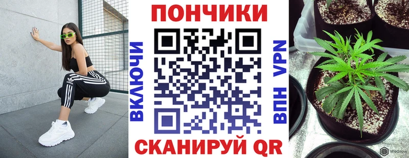 Бошки марихуана индика Пионерский